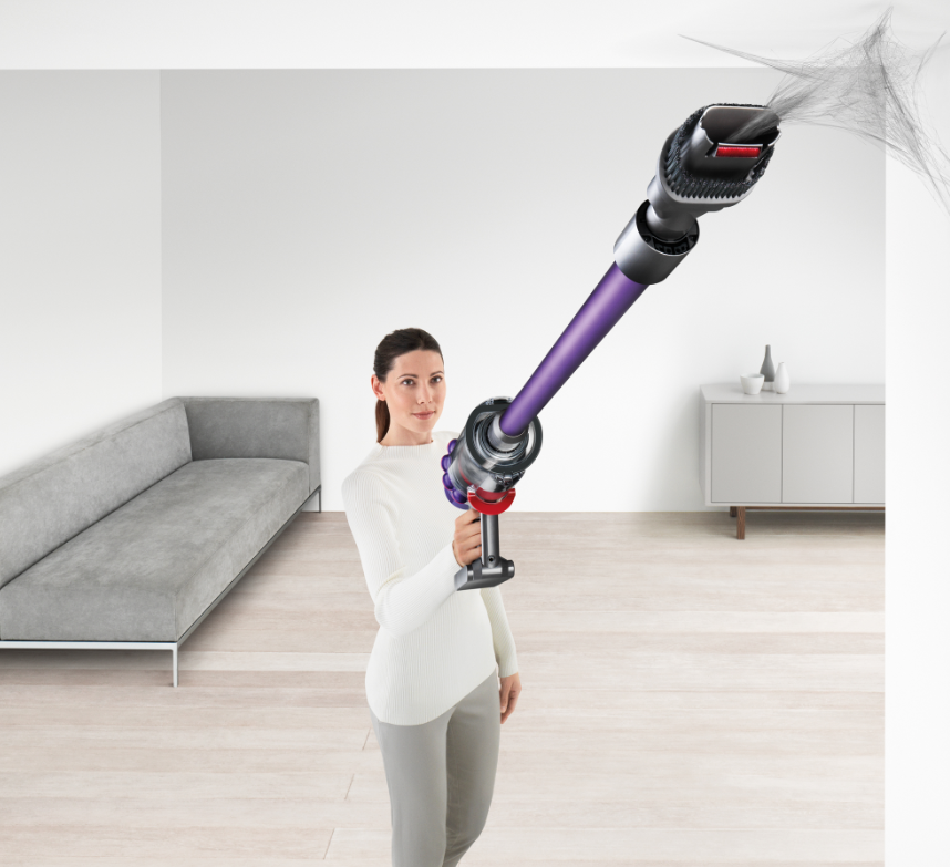 V10 Animal Cordless Stick Vacuum | 226364-01