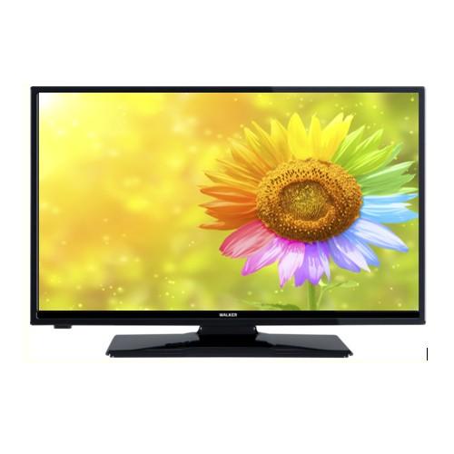 24" HD Smart Saorview TV  | 24WPS19P